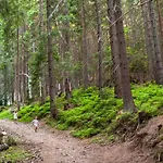 Skalka 11 Donovaly
