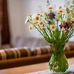 Apartment Skalka 11 Donovaly