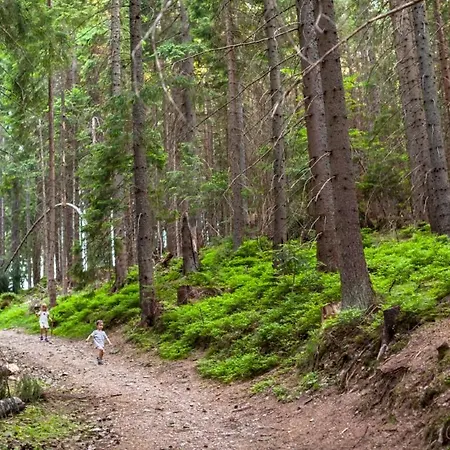 Skalka 11 Donovaly