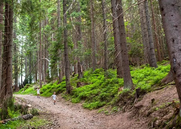 Skalka 11 Donovaly